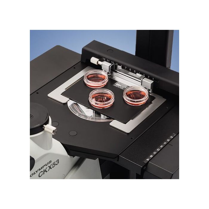Olympus CKX53