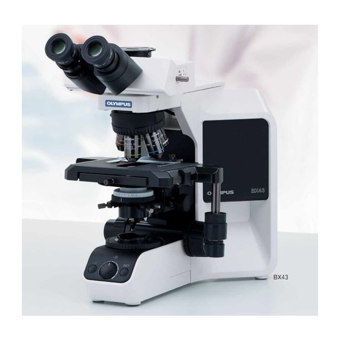 Olympus BX43