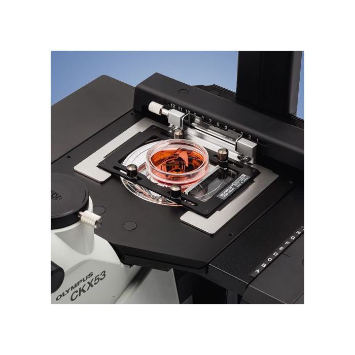 Olympus CKX53