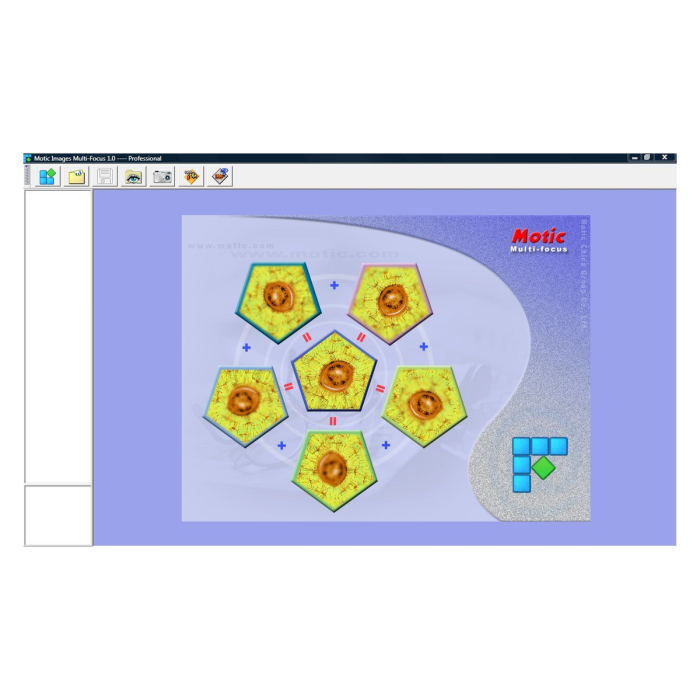 Multifocus