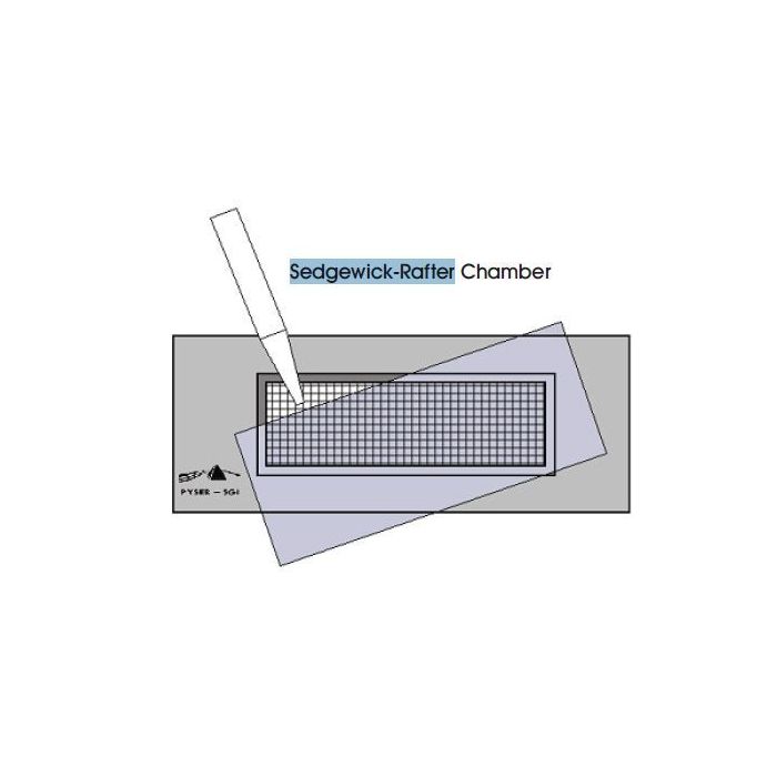 Komora Sedgewick-Rafter'a - B