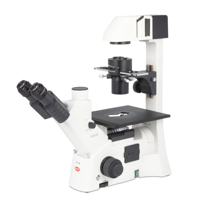 Mikroskop Odwrócony AE-31-Elite