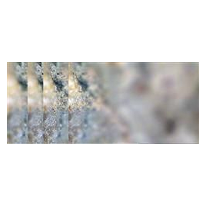 Multifocus