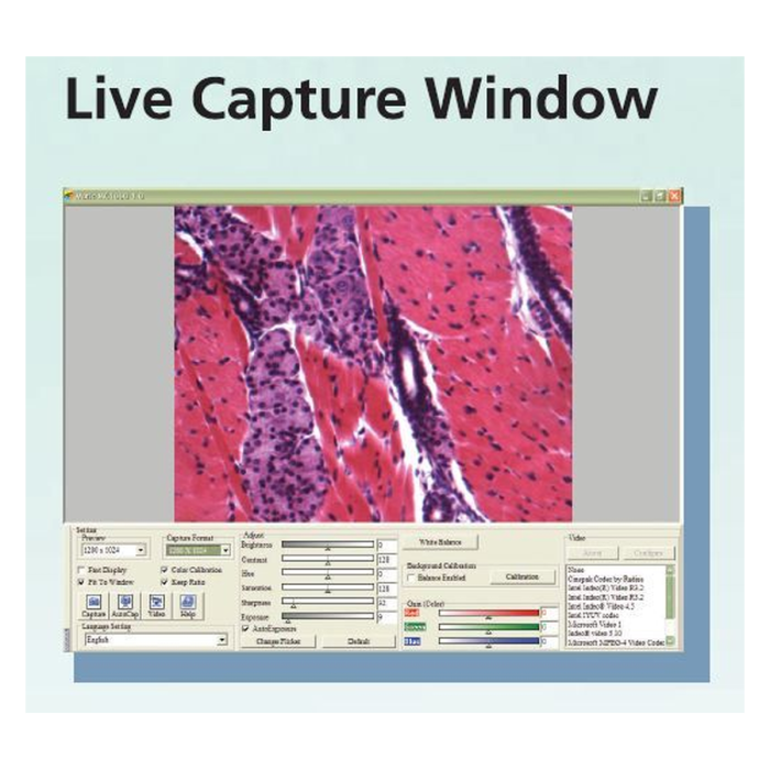 Images Advanced 3.2