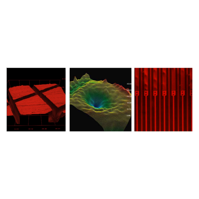 Motic Analysis