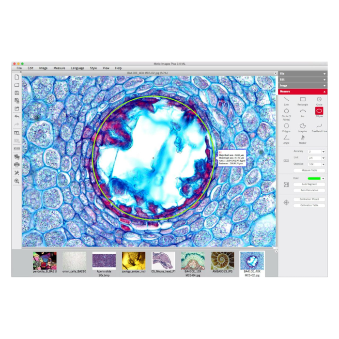 Motic Images Plus 3.0