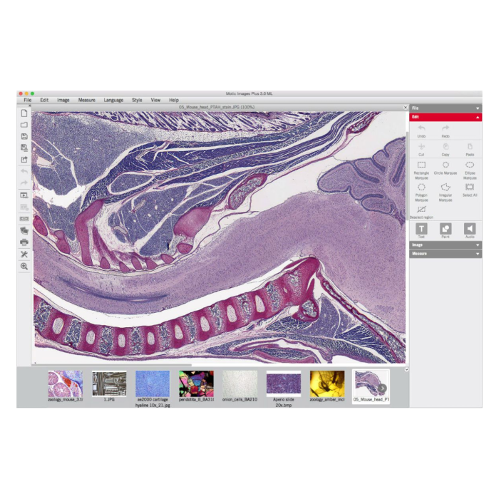 Motic Images Plus 3.0