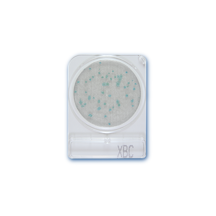 CompactDry XBC-40