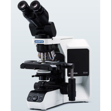 Olympus BX46