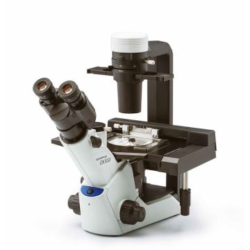 Olympus CKX53