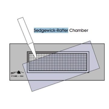 Komora Sedgewick-Rafter'a - B