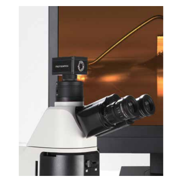 Motic Analysis